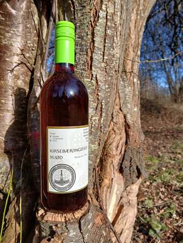 Borgmjød Kirsebær/Ingefærmjød 6% 0,75L